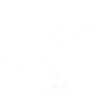 Meet your Posher, Paige